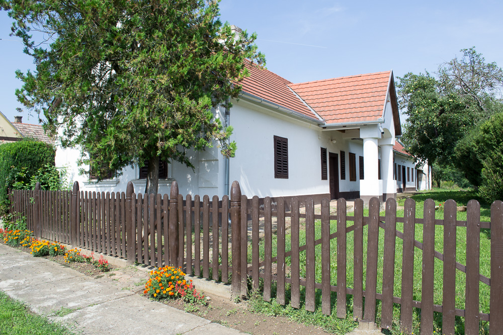 DSC 0352